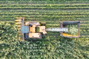 Leia mais sobre o artigo Crédito rural no Brasil: como funciona o sistema que sustenta o agronegócio nacional?